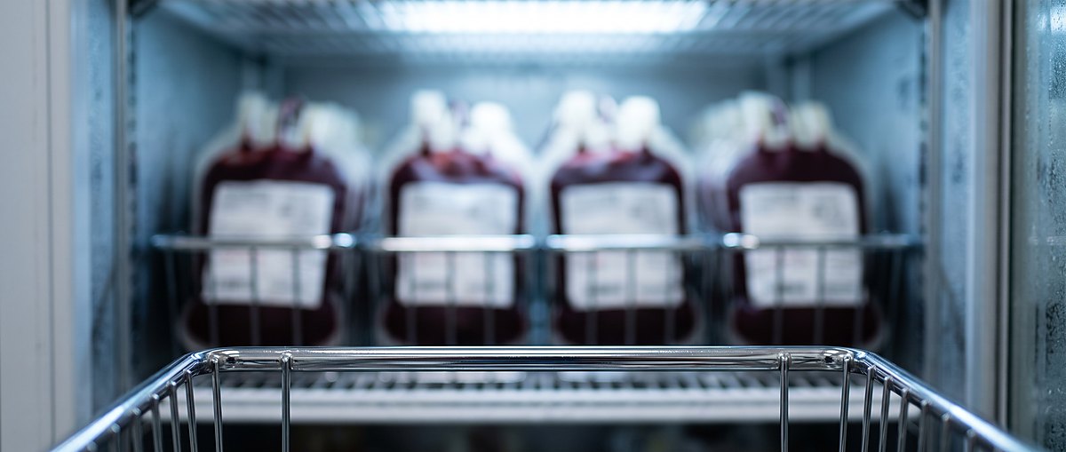 Unidades de concentrado eritrocitario en un refrigerador biomédico.